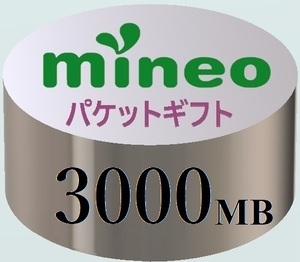 【3000MB ／ 3GB】マイネオ mineo パケットギフト 