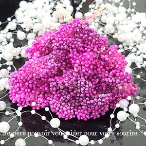 加工花材* ライスフラワー プリザーブドフラワー 花材