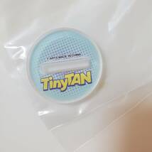 [未使用]　BTS　ぴた！でふぉめ TinyTAN アクリルスタンド Magic Door 　Jungkook ジョングク_画像2