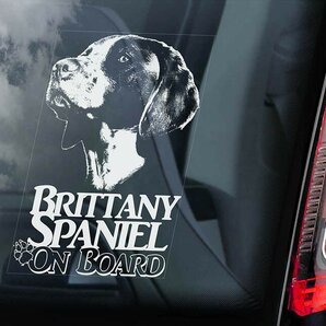 ◆ブリタニー・スパニエル(ブルトン)◆外張り カーステッカー 155×100mm外貼り カー ステッカー ウインドウ シール DOG ON BOAD@D1@3029