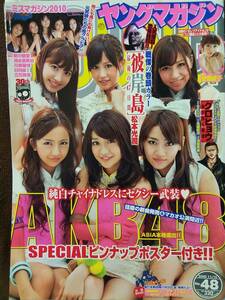 ヤングマガジン 2010年No.48 グラビア切り抜き AKB48 新川優愛 清水富美加 川嶋麗惟 日向泉 立花陽香 安藤成子 ピンナップポスター付き