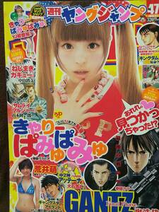 週刊ヤングジャンプ 2012年No.47 グラビア切り抜き きゃりーぱみゅぱみゅ 荒井萌