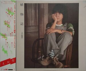 イルカ - 植物誌 '77年邦盤 デヴィッド・リンドレイ,ラス・カンケル,リーランド・スカラー,石川鷹彦,木田高介参加