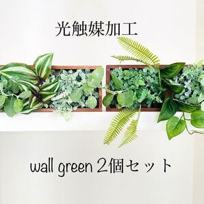 光触媒加工 フェイクグリーン 抗菌消臭 2個セット インテリア 壁掛け C-74