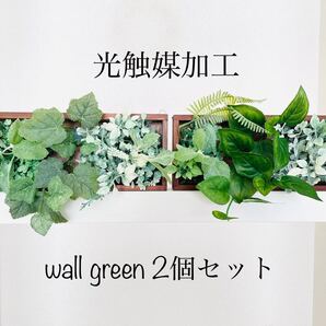 光触媒加工 フェイクグリーン 抗菌消臭 2個セット インテリア 壁掛け C-78