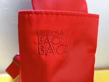 貴重 ヘルシーバックバッグ ナイロン アメリバッグ Healthy Back Bag ボディーバッグ_画像5