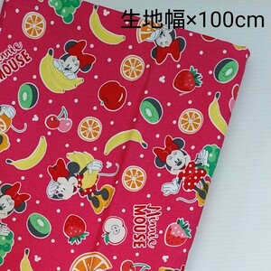 オックス生地 生地幅×100cm ミニー はぎれ