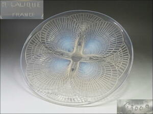 A138◇戦前 ルネ ラリック コキーユ オパルセント ガラス プレート 特大皿30cm 1924年発表の名作 オパール アンティーク LALIQUE COQUILLES