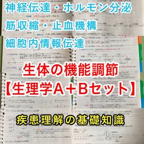 保健師、助産師、救命救急士国家試験、定期試験対策シリーズ【生理学A＋B】まとめノートセット