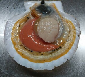 野付産　１枚４００ｇ～３５０ｇ　天然殻付き　超特大ホタテ貝 １０枚セット北海道　道東　