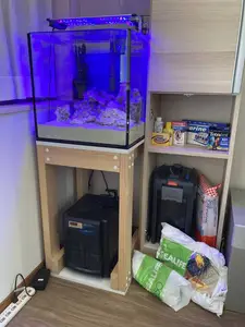 ヤフオク 海水魚飼育セットの中古品 新品 未使用品一覧 ヤフオク 海水魚飼育セットの中古品 新品 未使用品一覧