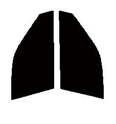 ダークスモーク　１３％　運転席、助手席　コルサ　L5#　４ドア　カット済みフィルム　国産