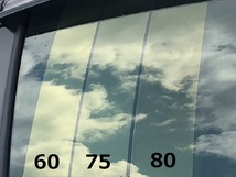 スパッタゴールド80　運転席・助手席　トヨタ　ハイラックスサーフ　N13#　カット済みカーフィルム　_画像2