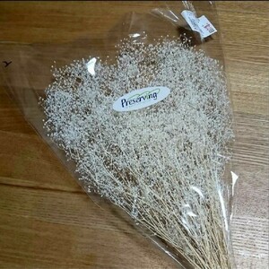 花材 ハンドメイド スワッグ 髪飾りかすみ草 カスミ 草 大地農園 プリザーブドフラワー ハーバリウム