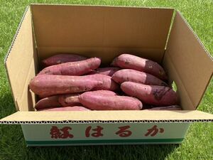 茨城県産 紅はるか 1箱5キロ 農家直送！とても甘くておススメですよ。