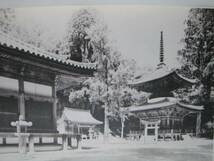 伽耶院本堂・多宝塔・三坂明神社本殿　保存修理工事報告書★兵庫_画像3