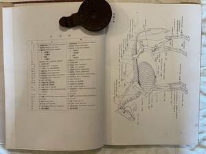 昭和16年　家畜解剖圖説　馬の部　上巻