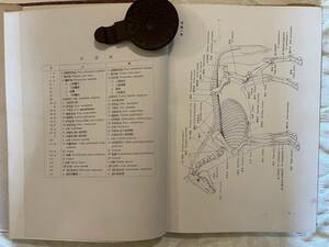  Showa era 16 year house . anatomy . opinion horse. part on volume 