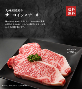 九州産国産牛サーロインステーキ用肉【500g(250g×2枚入り)】