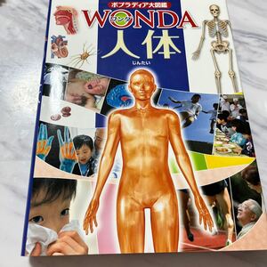 ポプラディア大図鑑WONDA 12 人体/坂井建雄