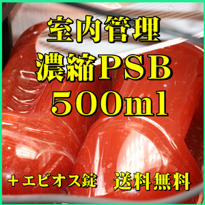 濃縮PSB500ml　光合成細菌　水質調整、バクテリア、めだか・金魚・熱帯魚などに最適