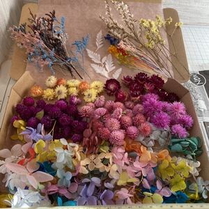 プリザーブドフラワー ドライフラワー アロマキャンドル花材 41