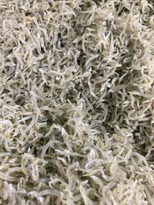 Dry Chirimen 1 kg size small