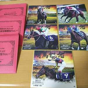 競馬 有馬記念 名馬セレクション ミニ色紙 ヴィクトワールピサ トウカイテイオー ダイワスカーレット リスグラシュー ドリームジャーニー 