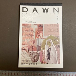 ♪海外ステッカーブック　シールブック　No1-2　DAWN VIDEO TAPE 夜明けのビデオ　手帳・日記・ジャンクジャーナル・コラージュ