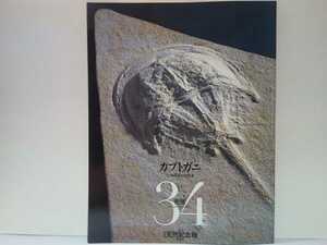  out of print ** weekly japanese natural memory thing 34 Kabuto gani** Japan row island nature history raw .. fossil * helmet . Seto inside sea . Kyushu north part ... . lagoon . raw . production egg *namekjiuo