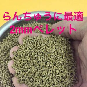 10kg入り らんちゅうに最適 2㎜ペレット 錦鯉 金魚 小型熱帯魚にも使えます お徳用サイズ