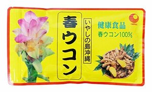 1 沖縄県産品 春ウコン粉末(袋) 100g
