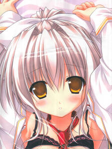 リセリシアスの値段と価格推移は 12件の売買情報を集計したリセリシアスの価格や価値の推移データを公開 リセリシアスの値段と価格推移は 12件の売買情報を集計したリセリシアスの価格や価値の推移データを公開