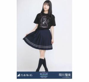 258》乃木坂46 生写真 1枚 公式グッズ　早川聖来　ヒキ　白石麻衣卒コンTシャツ　NOGIZAKA46 Mai Shiraishi Graduation Concert