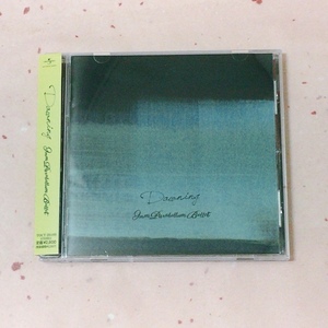 CD　9mm Parabellum Bullet Dawning　帯付★★　