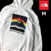 1円～!売切!【正規新品】THE NORTH FACE PRIDE PULLOVER HOODIE パーカー スウェット レインボー US限定 BOXLOGO 裏起毛(M)白 181130-30_画像2