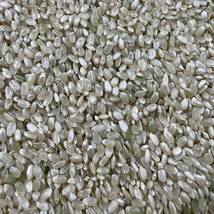 令和3年 秋田県産 減農薬コシヒカリ玄米24kg 中米 農家直送_画像1