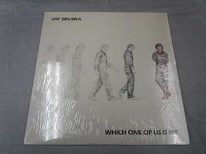 【LP/AOR】 JAY GRUSKA / WHICH ONE OF US IS ME