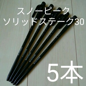 【新品・未使用】スノーピーク ソリッドステーク30 5本セット