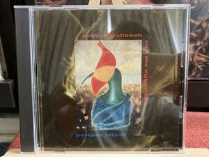 【CD】ROBYN HITCHCOCK And The Egyptians ☆ Perspex Island EU A&M 輸入盤 91年 ギターポップ 名盤 レア Paul Fox Peter Buck ジャケ不良