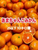 3和歌山・小玉１０K・あまちゃんこみかん・本州四国九州送料980円_画像1