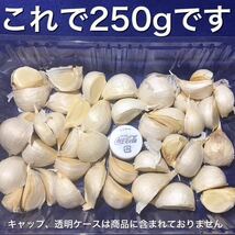 青森県産 にんにく 福地ホワイト六片 250g S～Mサイズ_画像3