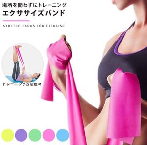 エクササイズバンド トレーニングゴム トレーニングチューブ ダイエット ブルー