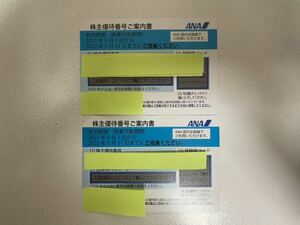 《送料無料・番号通知可》ANA 全日空 株主優待券　2枚セット【有効期限：2022年5月31日搭乗まで】