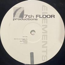 ベルギー・インストゥルメンタル・ヒップホップ・アブストラクト / Zebra Elements - Which Stripe You Choose / 7th Floor Productions_画像4