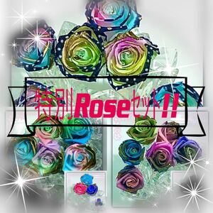 ( 特別Roseセット!/計27輪!) 加工 プリザーブドフラワー ハーバリウム レジン 薔薇( 値下不可 )