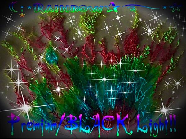 ( プレミアム・BlackLight/片面塗/Rainbow・タタリカ/画像量 )加工 ドライフラワー(3set限り)