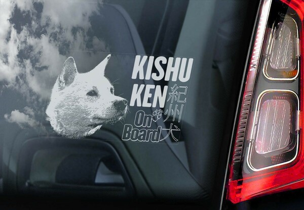 ◆紀州犬 KISHU KEN 外張り カーステッカー シール 155×100mm