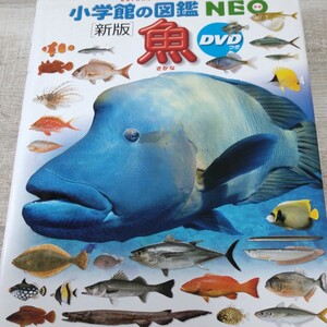 DVD付 新版 魚 (小学館の図鑑 NEO)