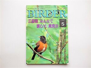 1903 BIRDER( балка da-) 1997 год 5 месяц номер { специальный выпуск } Miyake остров все . легко птица видеть .b